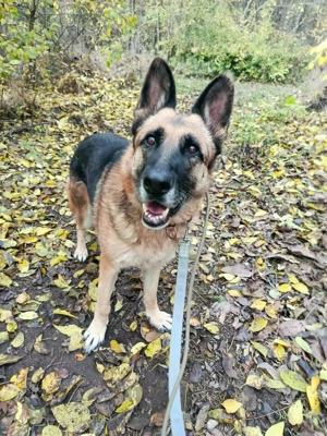  SZÉPSÉG   die Schönheit, die alles überlebt hat Bild 3