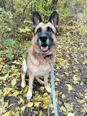  SZÉPSÉG   die Schönheit, die alles überlebt hat Bild 2