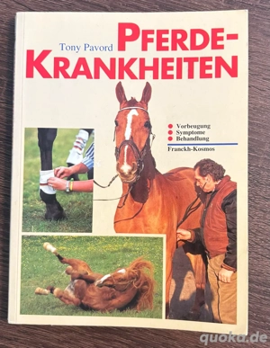 pferdekrankheiten pavord