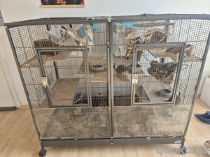 Großer Käfig, teilbar in zwei Ebenen - ideal für Degus oder andere Nager