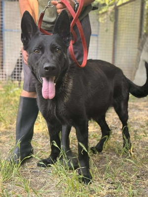 Hallo, ich bin Leenie   und ich wünsche mir, endlich gesehen zu werden