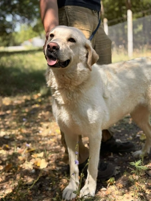  Das ist Madara   sanft, groß & einfach zauberhaft.