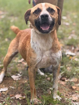 MARKO   Stark im Körper, sanft im Herzen