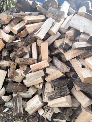 Verkaufe trockenes Brennholz!