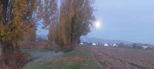 Massage u.Kartenlegen,Heilarbeit