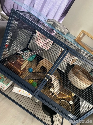 Savic Royal Rattenkäfig  Kleintierkäfig 