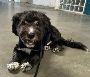 Mailo - unser lebensfroher Wonneproppen