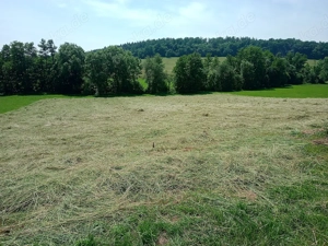 Verkauf kleine HD Heuballen 1.Schnitt 2025 unverregnet Bachwiese