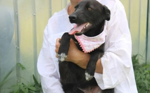 Zaghafte Lynn sucht liebevolles Zuhause