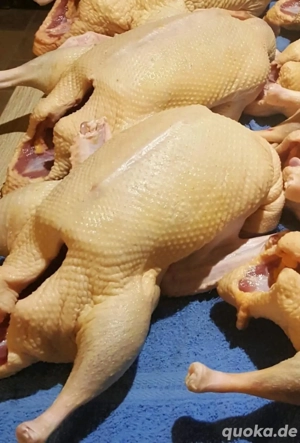 Küchenfertig Enten 