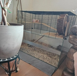 Nagarium Hamsterkäfig