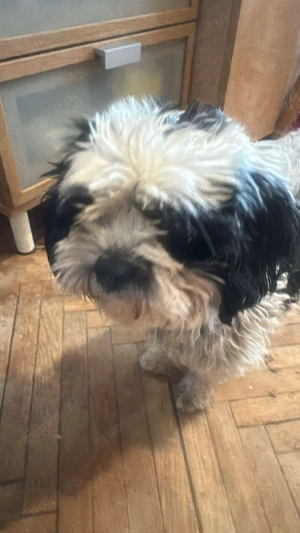 Sunshine, mit mir kommt Sonne ins Haus 