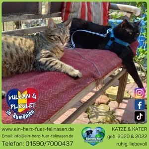 Vulcan & Pliculet - zwei Herzen, ein Zuhause gesucht