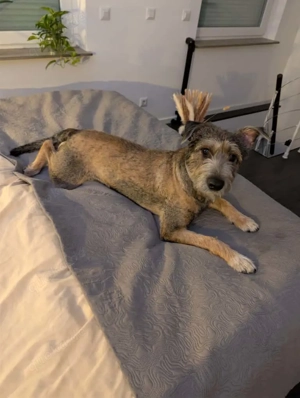 *SCOTTY* ist bereits in Deutschland. Zum Kennenlernen dürfen Sie ihn gerne besuchen. 