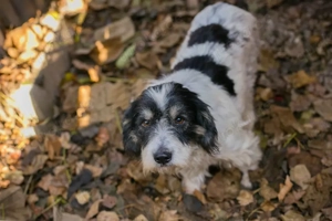 Chip 255536 - "Lernen und üben machen eine Menge Spaß" Bild 2