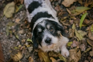 Chip 255536 - "Lernen und üben machen eine Menge Spaß"