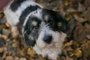 Chip 255536 - "Lernen und üben machen eine Menge Spaß" Bild 5