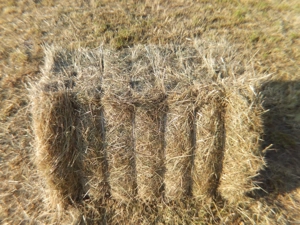 Heu, Heuballen, Quaderballen 1.Schnitt 2025