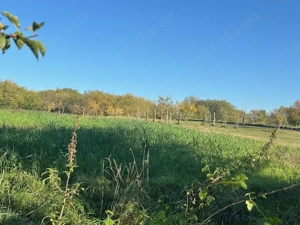 Ungarn: Haus, Bauernhaus, Südseite Balaton, Nähe Thermalbad Bild 3