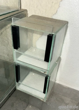 Terrarien in verschiedenen Größen, Zubehör