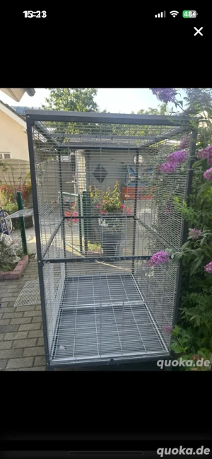 käfig gross Bis zum 17.01. RESERVIERT