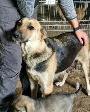 Nina auf der Suche nach dem Glück