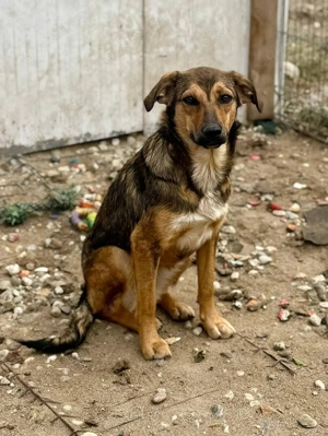 Wer erklärt Albina die Welt? Bild 4