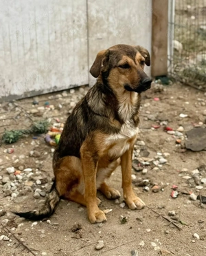 Wer erklärt Albina die Welt? Bild 5