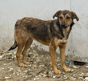 Wer erklärt Albina die Welt? Bild 3