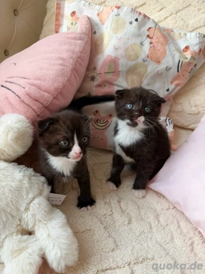 Winzige kleine Babys