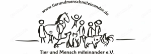 Lüszi (geb. ca. 11 2022) lebt in ungarischem Tierheim und sucht ein Zuhause Bild 10