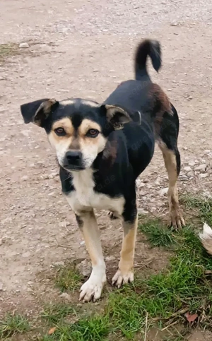 Wer hat das schönste Lächeln - Smile 