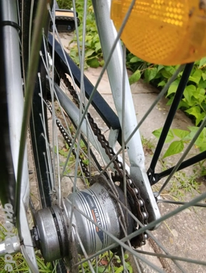 Damen Fahrrad 7 Gang Rücktritts bremse Hand Schaltung 