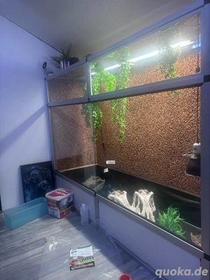 xxl alu terarium diese woche für 800  