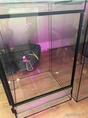 Verkaufe nagelneues Terrarium Glas 50x50x80cm 