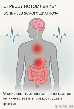 Kinesiologie   Massage   Wellness   Regeneration Blieskastel (Saar-Pfalz)   mobil & online weltweit