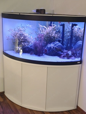 Eck Aquarium von Fluval 