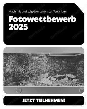 RK Terrarienbau Fotowettbewerb 2025