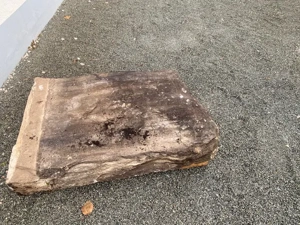 Findling aus Palisandrofels