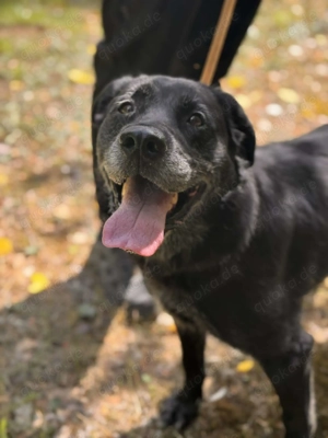Raian   Die Zeit läuft  wird ihn noch jemand sehen? 
