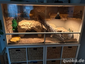 grosses Terrarium voll ausgestattet 160x80x80