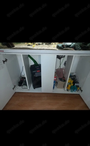 240L Aquarium schnellstmöglich zu verkaufen 