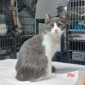  Zwei kleine Geschwister suchen ihr Ticket ins Glück! 