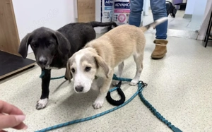 Unser kleiner Charmeur Dragosch