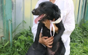 Salome: Energie trifft Schmusebacke