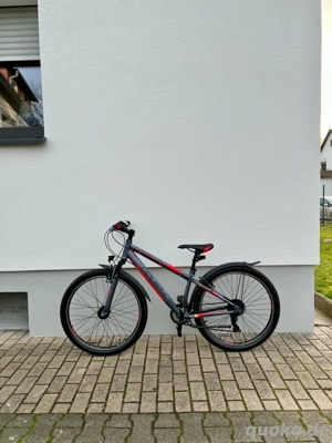 Ciclista Fahrrad 26 Zoll