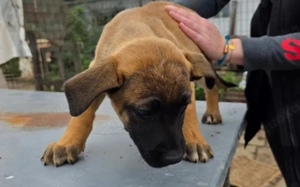 Mach dein Herz auf für Pia!