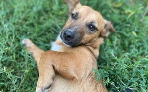 Neyla sucht ihre Familie