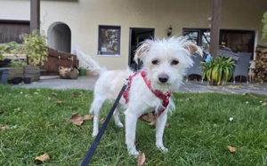 Süße Ms. Butterfly