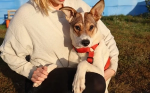 Wer schenkt Daria das Glück, das sie so sehr verdient?